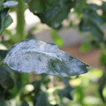 085002_20181101102846_01.JPG