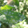085002_20181101102851_01.JPG