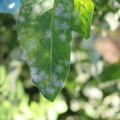 085002_20181101102852_02.JPG