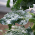 085002_20181108145638_01.JPG