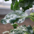 085002_20181108145639_04.JPG