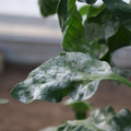 085002_20181108145641_04.JPG