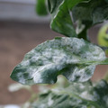 085002_20181108145646_04.JPG