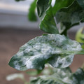 085002_20181108145647_04.JPG