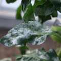 085002_20181108145648_05.JPG