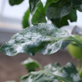 085002_20181108145649_02.JPG