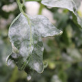 085002_20181108145742_04.JPG