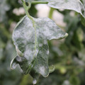 085002_20181108145742_05.JPG
