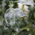 085002_20181108145743_01.JPG
