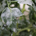085002_20181108145743_02.JPG
