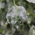 085002_20181108145745_01.JPG