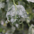 085002_20181108145746_01.JPG