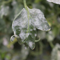 085002_20181108145746_02.JPG