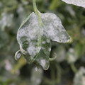 085002_20181108145746_03.JPG