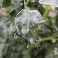 085002_20181108145747_05.JPG
