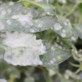 085002_20181108145754_02.JPG