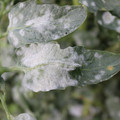 085002_20181108145756_03.JPG
