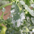 085002_20181108145851_01.JPG