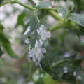 085002_20181108145855_05.JPG