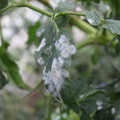 085002_20181108145856_02.JPG