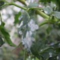 085002_20181108145856_03.JPG