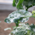 085002_20181108150015_01.JPG