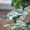 085002_20181108150016_01.JPG