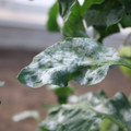 085002_20181108150016_03.JPG