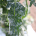 085002_20181108150025_03.JPG