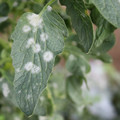 085002_20181108150049_01.JPG