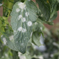 085002_20181108150049_03.JPG