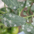 085002_20181108150102_02.JPG