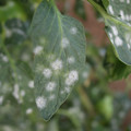 085002_20181108150120_02.JPG