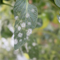 085002_20181108150125_01.JPG