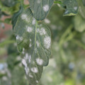 085002_20181108150133_01.JPG
