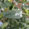 085002_20181108150158_01.JPG