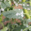 085002_20181108150159_03.JPG