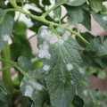 085002_20181108150251_05.JPG