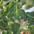 085002_20181108150309_04.JPG