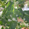 085002_20181108150309_05.JPG
