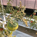 439905_20180205105337_06.JPG