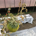 439905_20180205105339_01.JPG
