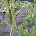529902_20161013143314_01.JPG