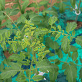 085003_20181016103008_01.JPG