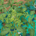 085003_20181016103008_03.JPG