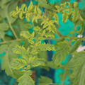 085003_20181016103028_01.JPG
