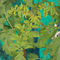 085003_20181016103028_02.JPG