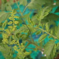 085003_20181016103039_01.JPG