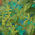 085003_20181016103039_02.JPG