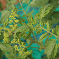 085003_20181016103039_03.JPG